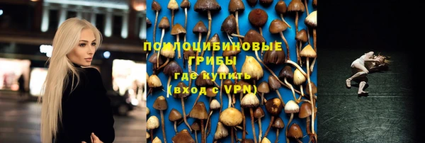 MDMA Каменногорск